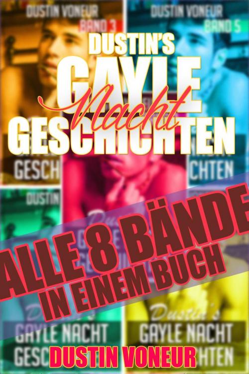 Cover of the book Dustin's Gayle Nacht Geschichten: Alle 8 Bände in einem Buch by Dustin Voneur, Heartbeat Books