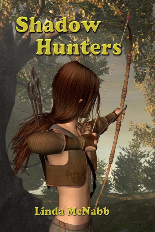 Cover of the book Shadow Hunters by Linda McNabb, Southern Star Publishing