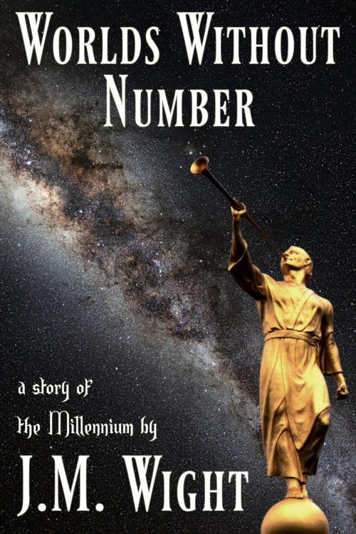 Cover of the book Worlds Without Number by J.M. Wight, Joe Vasicek