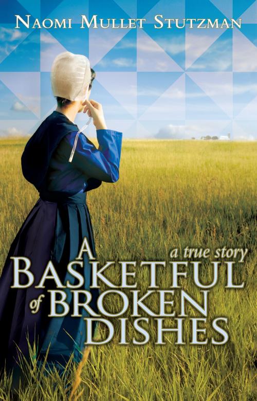 Cover of the book A Basketful of Broken Dishes by Naomi Stutzman, Ambassador International