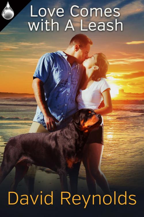 Cover of the book Love Comes With a Leash by David Reynolds, Liquid Silver Books