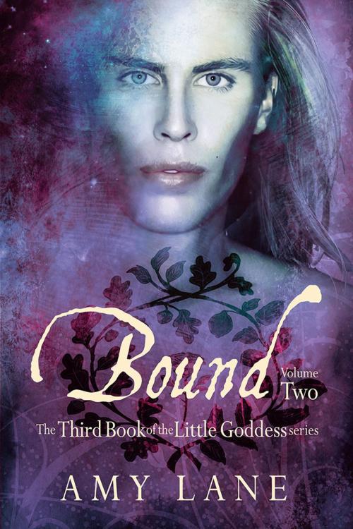 Cover of the book Bound, Vol. 2 by Amy Lane, Dreamspinner Press