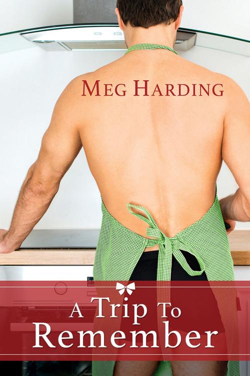 Cover of the book A Trip to Remember by Meg Harding, Dreamspinner Press