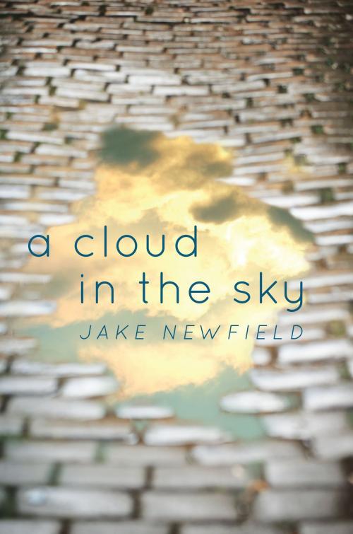 Cover of the book A Cloud in the Sky by Jake Newfield, BookBaby