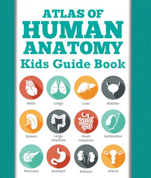 Cover of the book Atlas Of Human Anatomy: Kids Guide Book by Speedy Publishing LLC, Speedy Publishing LLC