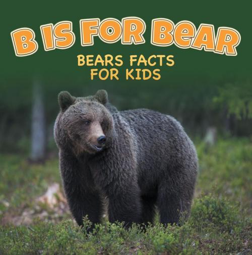 Cover of the book B is for Bear: Bears Facts For Kids by Baby Professor, Speedy Publishing LLC