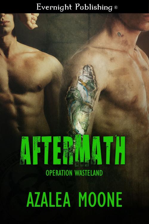 Cover of the book Aftermath by Azalea Moone, Evernight Publishing