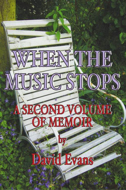 Cover of the book When The Music Stops by David Evans, Tusitala Press