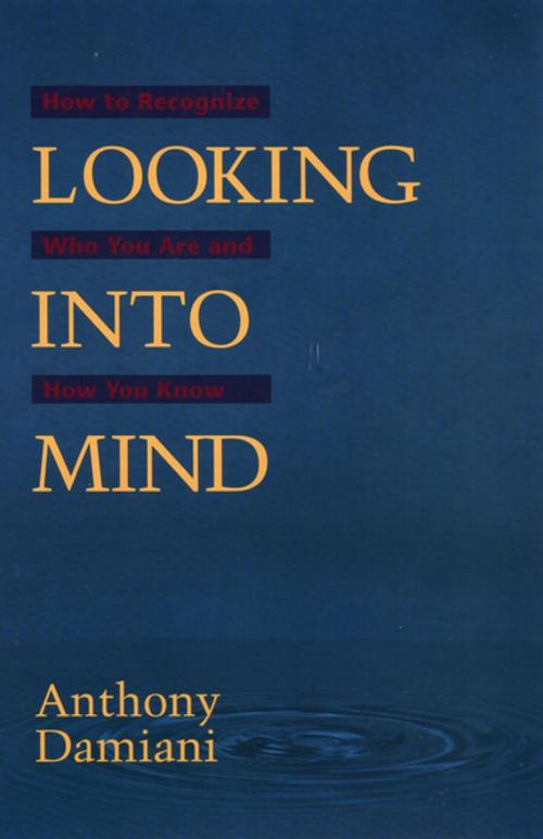 Cover of the book Looking into Mind by Anthony Damiani, Larson Publications