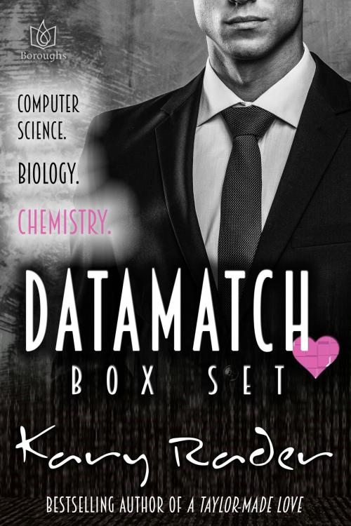 Cover of the book DataMatch Box Set by Kary Rader, Boroughs Publishing Group