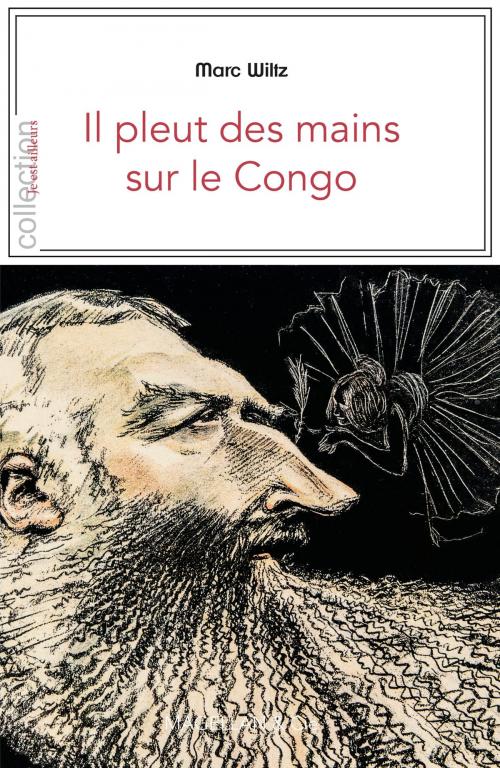 Cover of the book Il pleut des mains sur le Congo by Marc Wiltz, Magellan & Cie Éditions