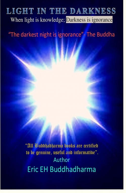 Cover of the book Light in the darkness book by ERIC EH buddhadharma, Compassion paperback