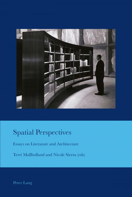 Cover of the book Spatial Perspectives by , Peter Lang