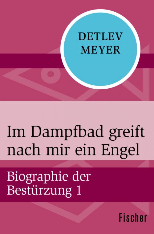 Cover of the book Im Dampfbad greift nach mir ein Engel by Detlev Meyer, FISCHER Digital