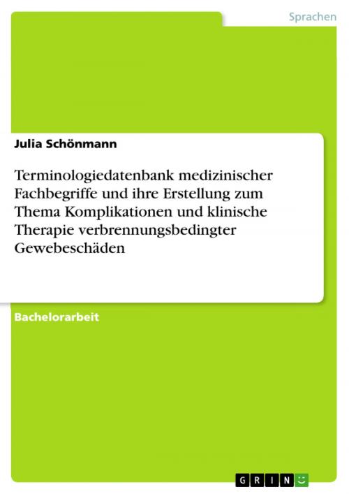 Cover of the book Terminologiedatenbank medizinischer Fachbegriffe und ihre Erstellung zum Thema Komplikationen und klinische Therapie verbrennungsbedingter Gewebeschäden by Julia Schönmann, GRIN Verlag