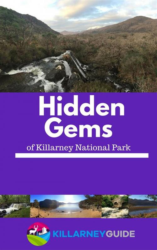 Cover of the book Hidden Gems of Killarney National Park by Donal O'leary, Donal O'leary