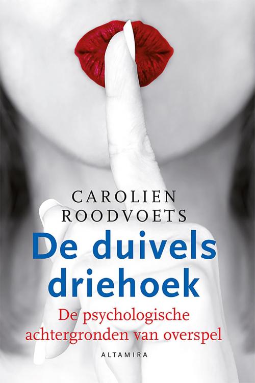 Cover of the book De duivels driehoek by Carolien Roodvoets, Gottmer Uitgevers Groep b.v.