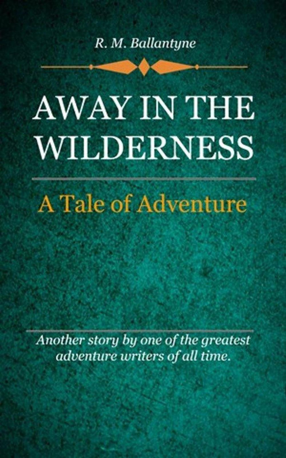 Big bigCover of Away in the Wilderness