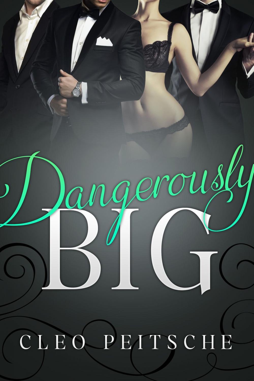 Big bigCover of Dangerously Big