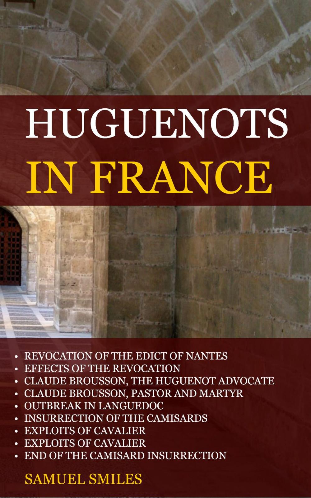 Big bigCover of Huguenots in France