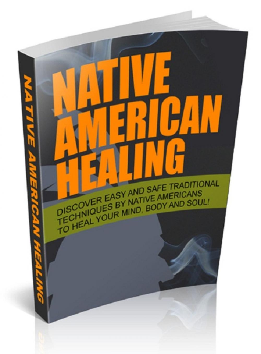 Big bigCover of Native American Healing