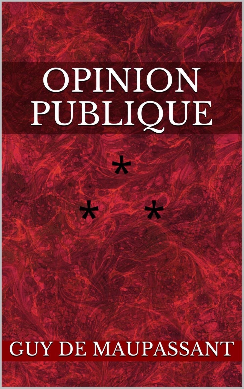 Big bigCover of Opinion publique