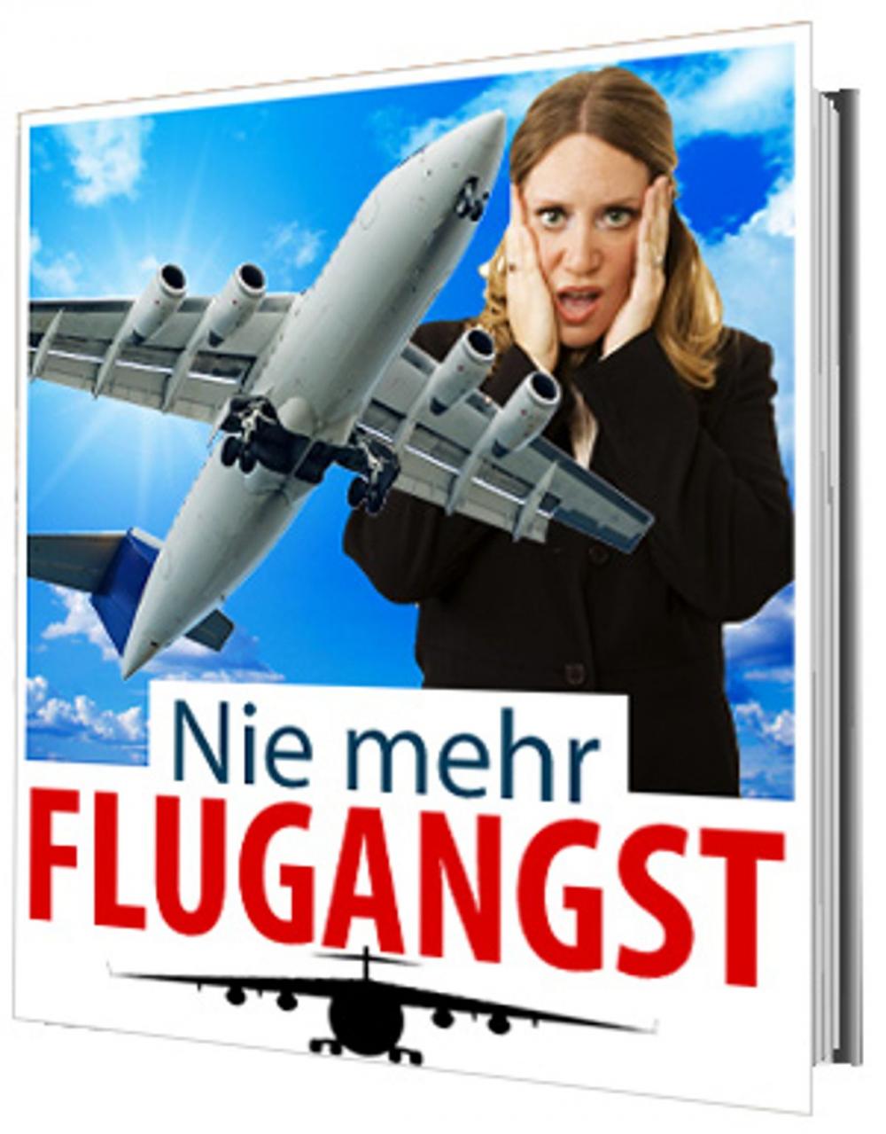 Big bigCover of Nie mehr Flugangst