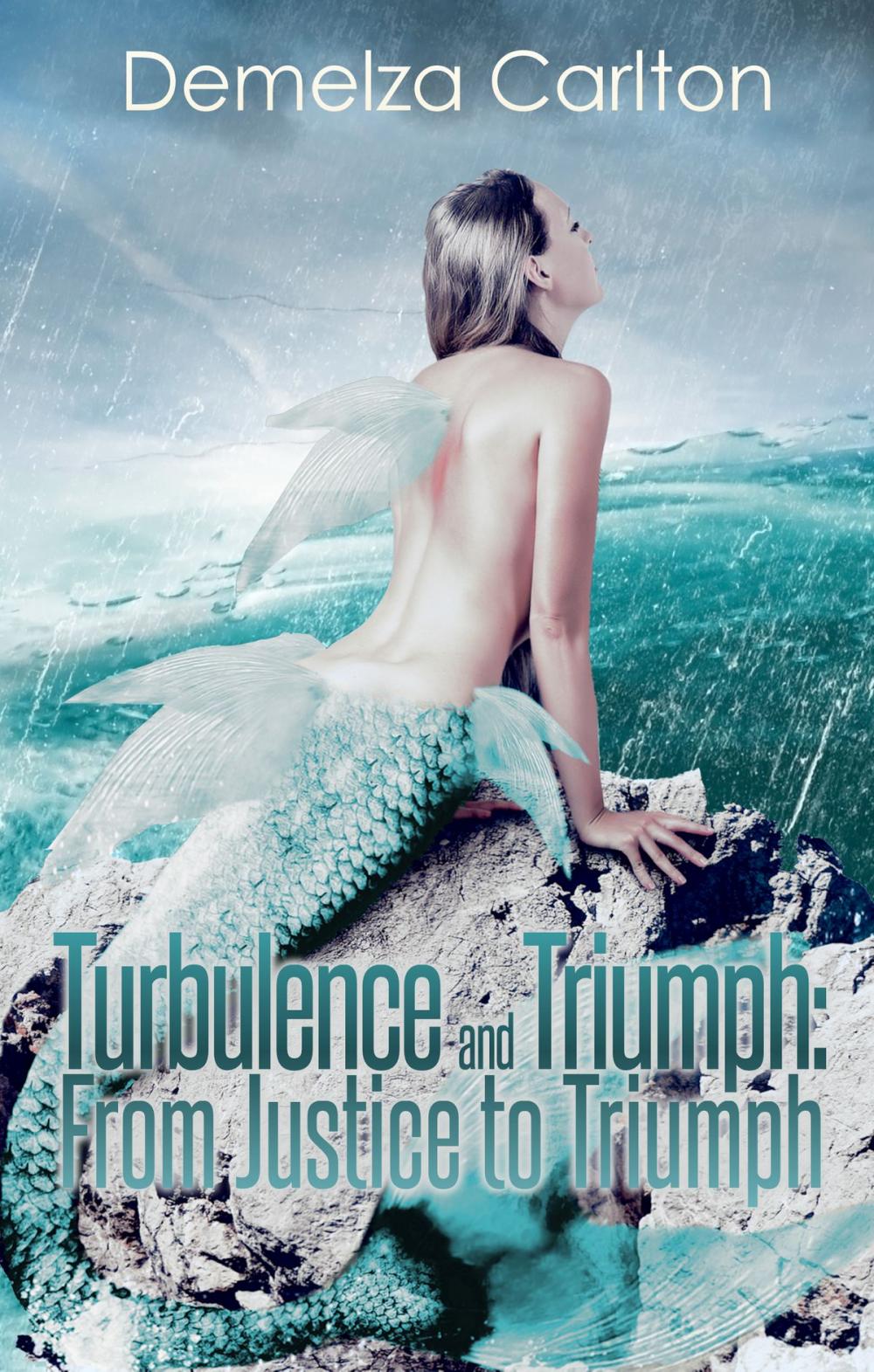 Big bigCover of Turbulence and Triumph: From Justice to Triumph