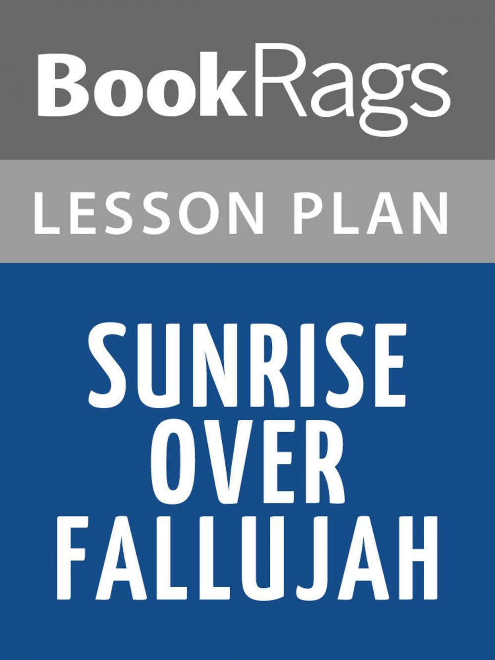 Big bigCover of Sunrise Over Fallujah Lesson Plans