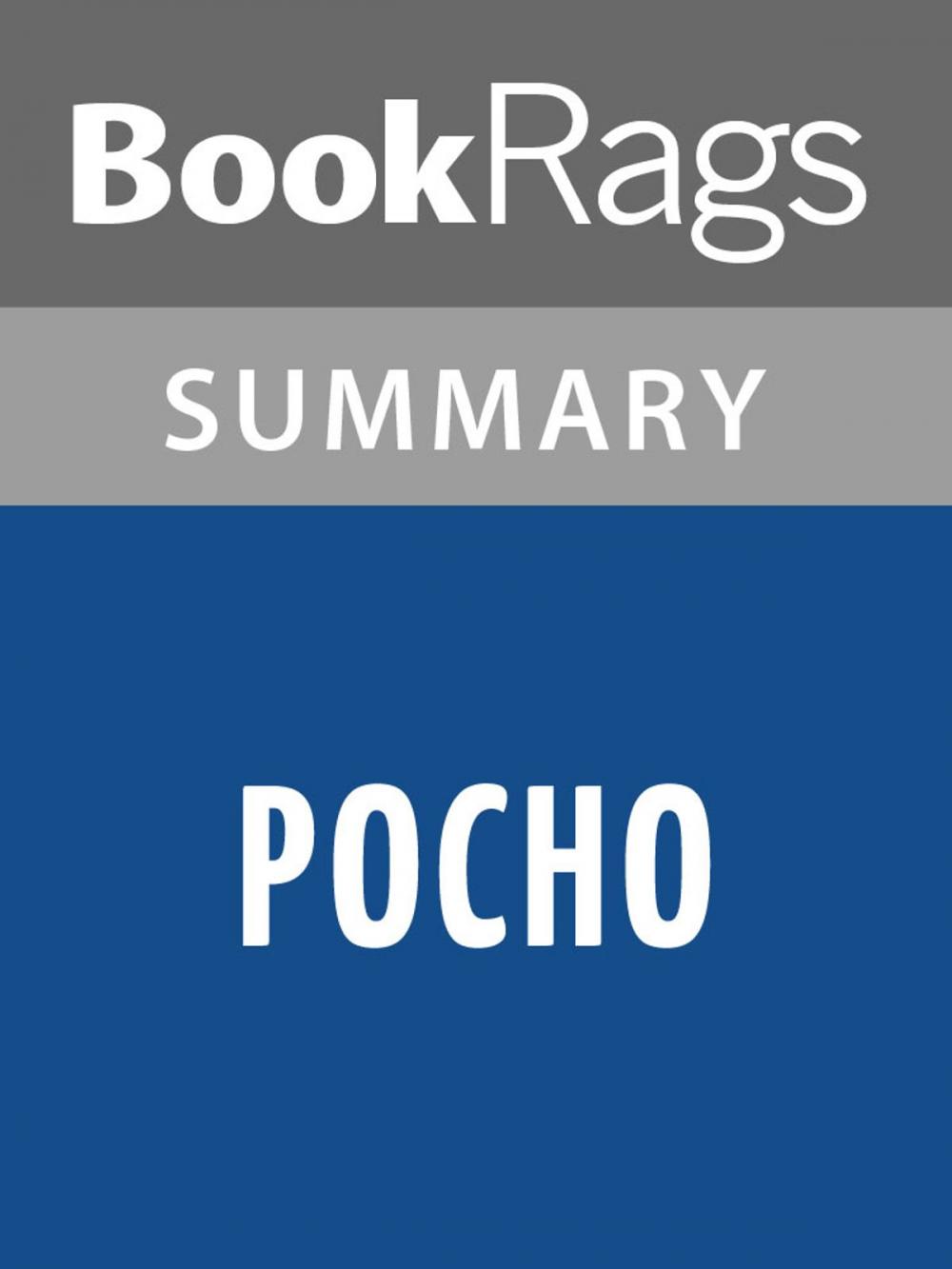 Big bigCover of Pocho by Jose Antonio Villarreal l Summary & Study Guide