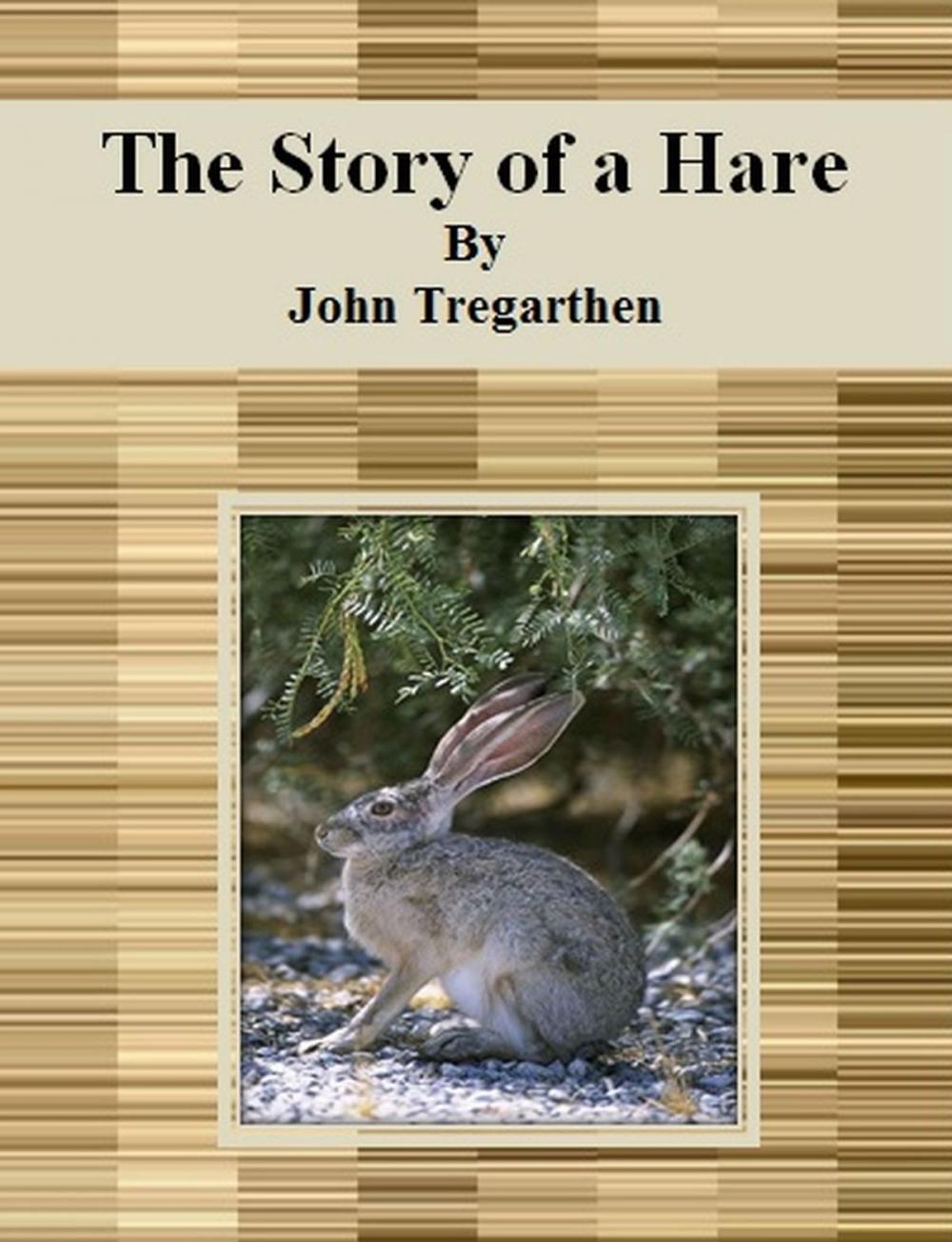 Big bigCover of The Story of a Hare