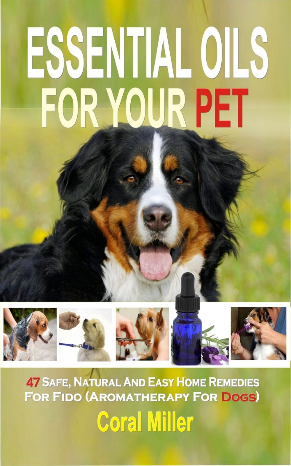 Big bigCover of Essential Oil for Pets