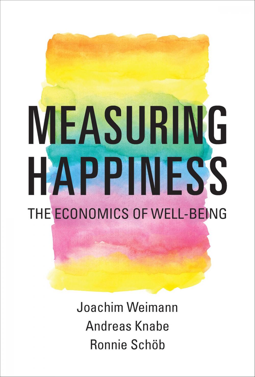 Big bigCover of Measuring Happiness