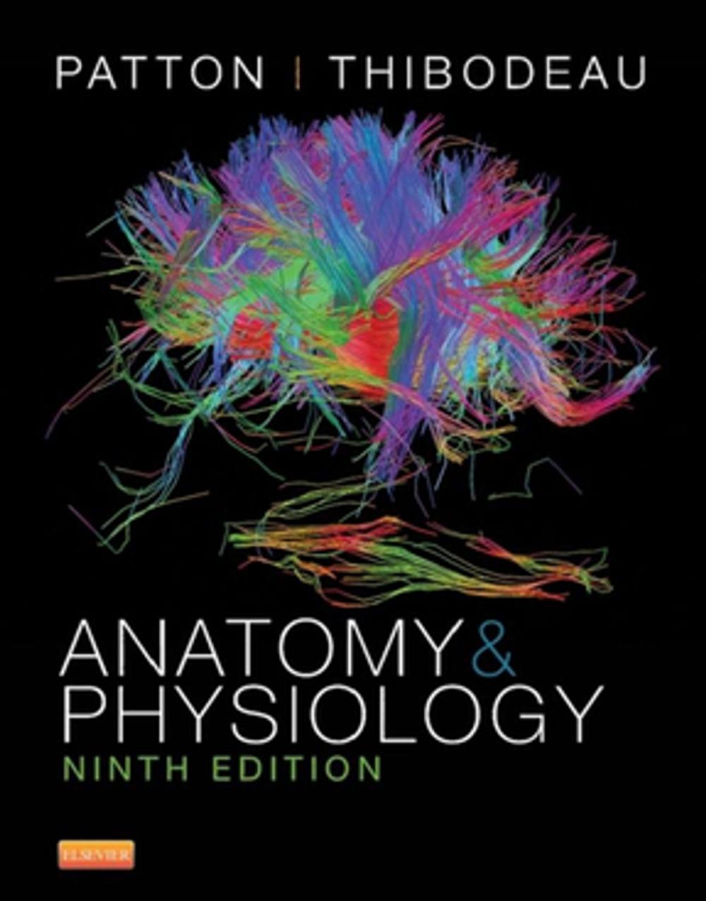 Big bigCover of Anatomy and Physiology - E-Book