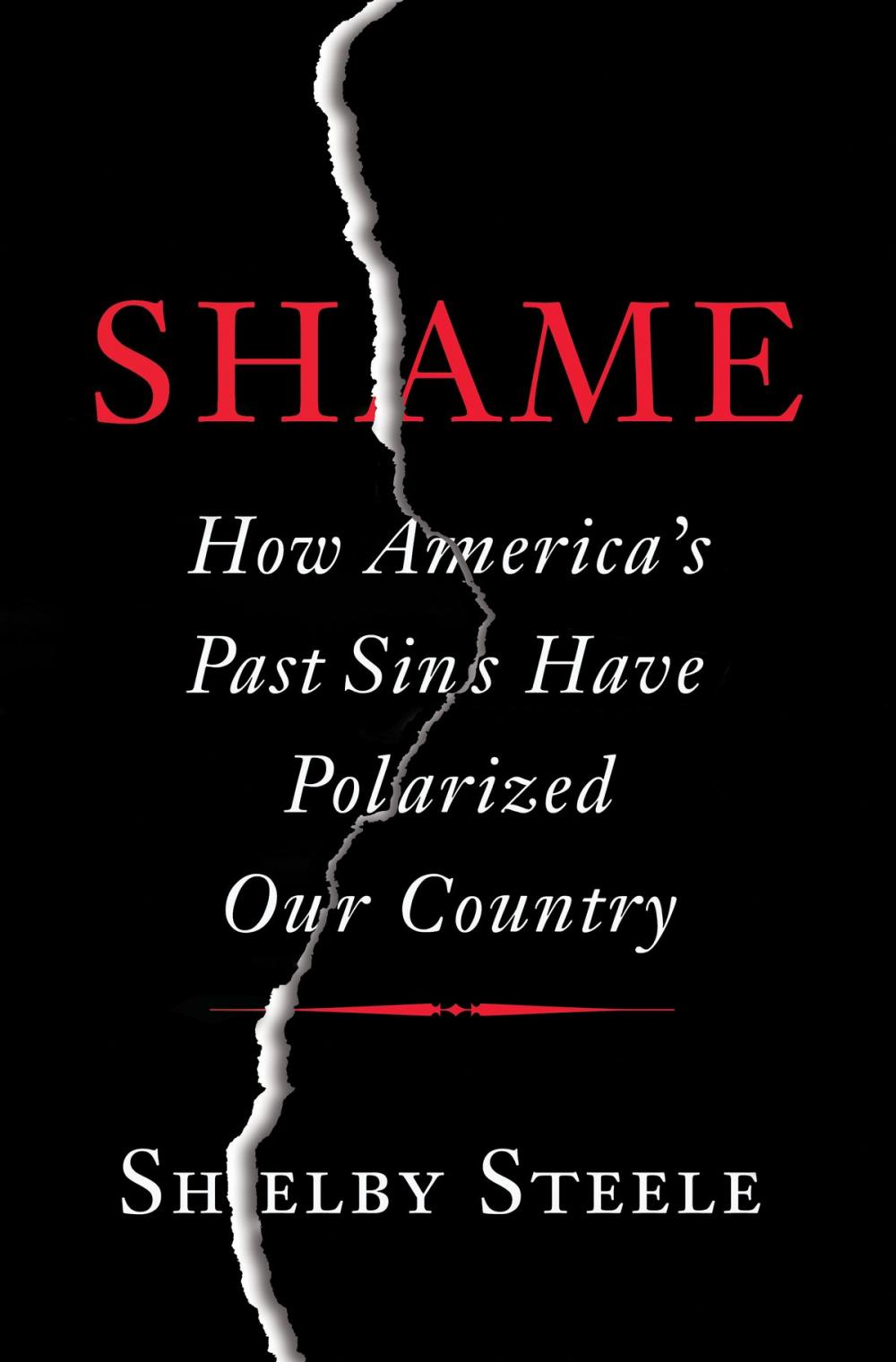 Big bigCover of Shame