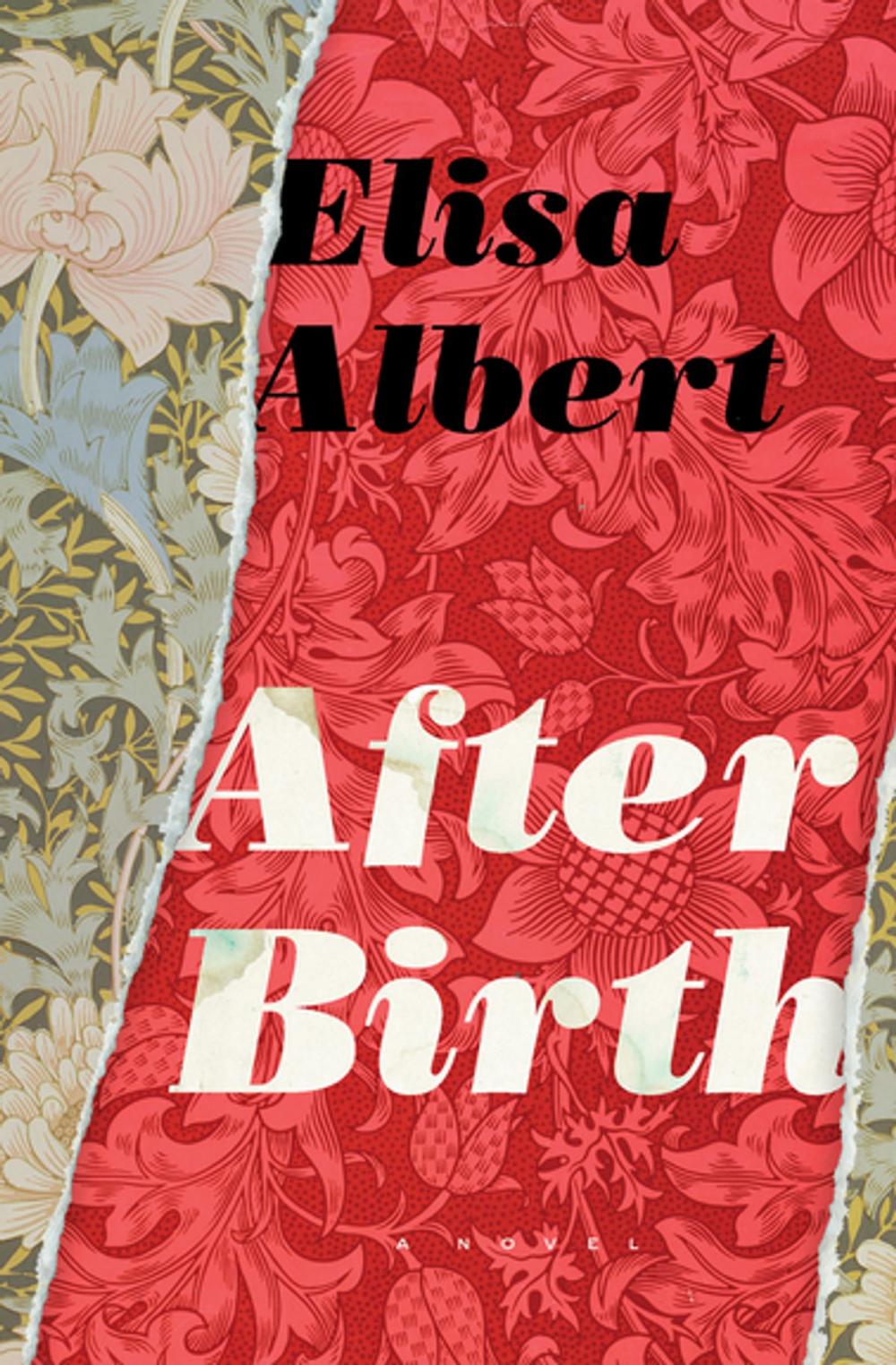 Big bigCover of After Birth