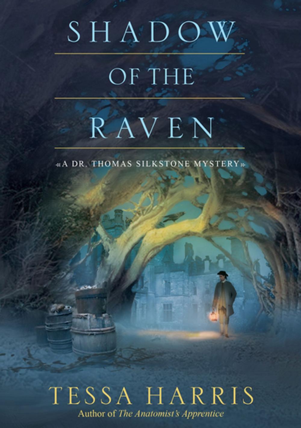 Big bigCover of Shadow of the Raven