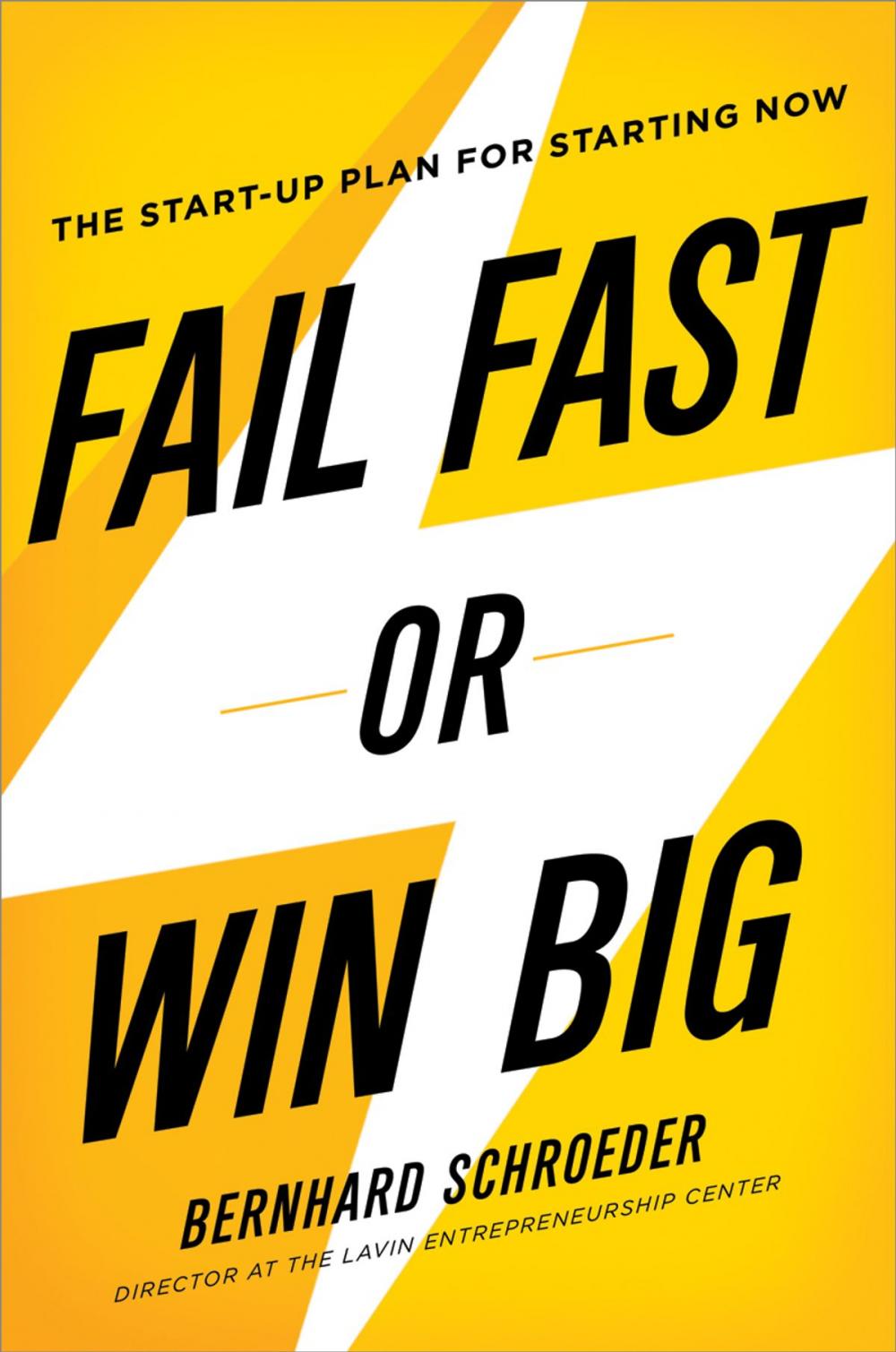 Big bigCover of Fail Fast or Win Big