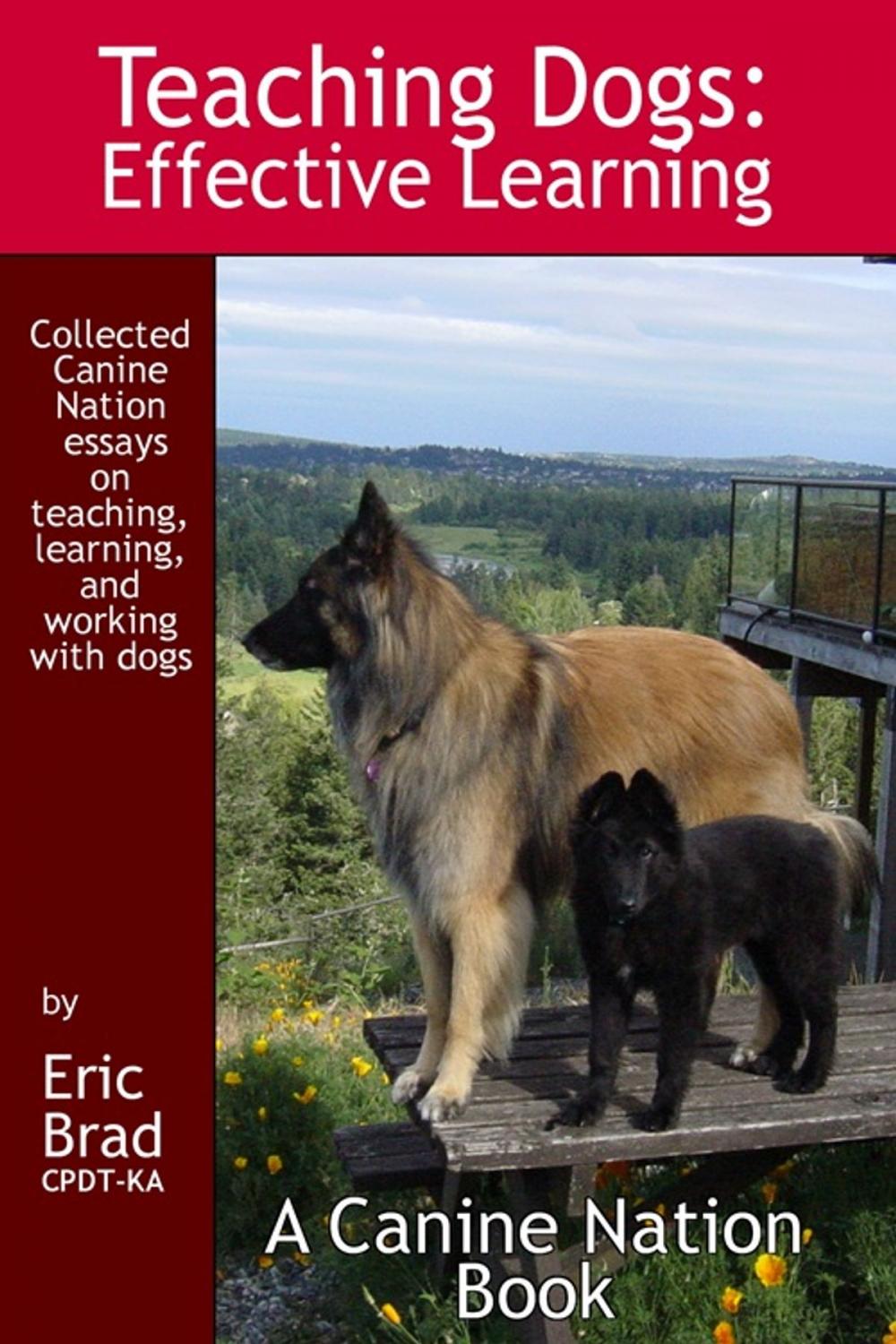 Big bigCover of TEACHING DOGS