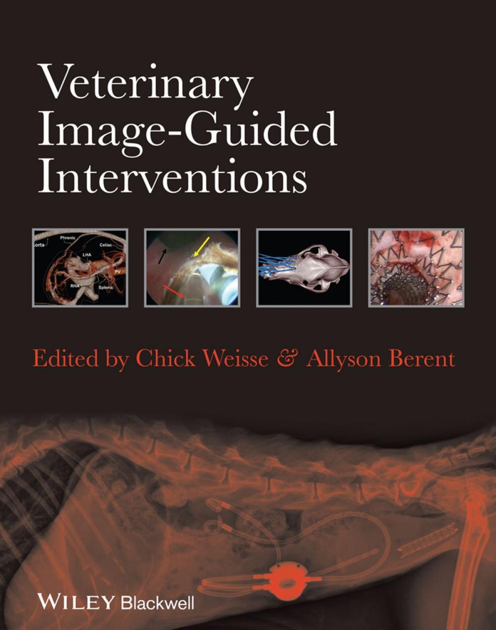 Big bigCover of Veterinary Image-Guided Interventions