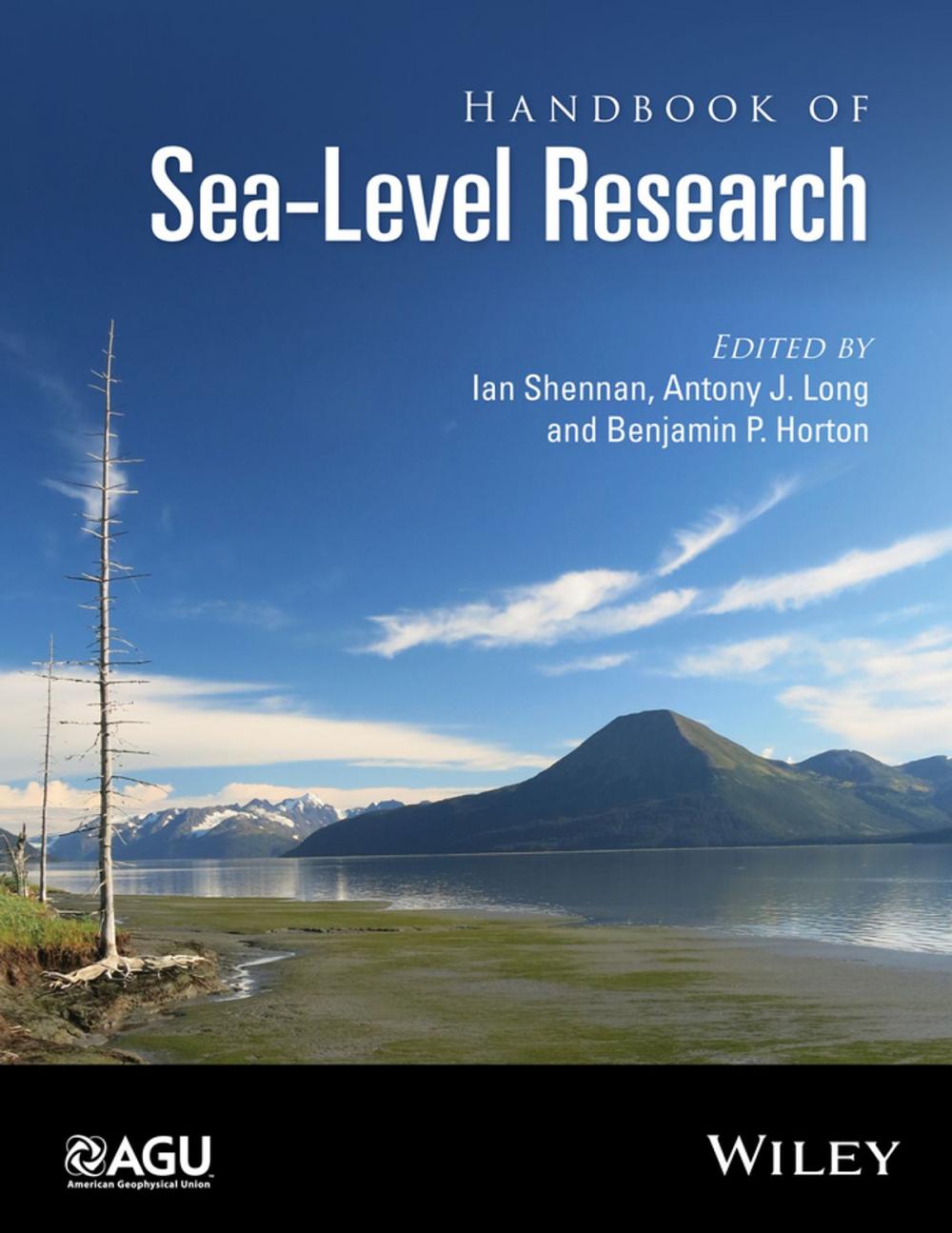 Big bigCover of Handbook of Sea-Level Research