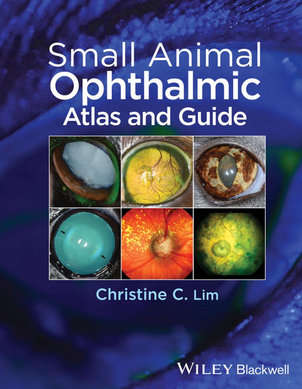 Big bigCover of Small Animal Ophthalmic Atlas and Guide