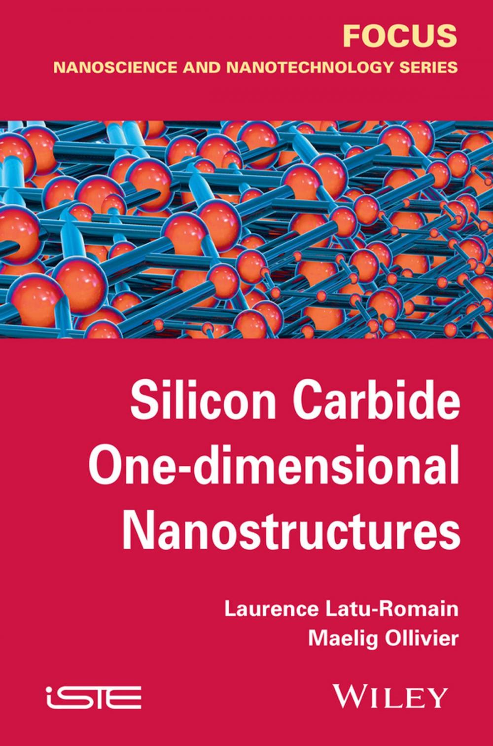 Big bigCover of Silicon Carbide One-dimensional Nanostructures