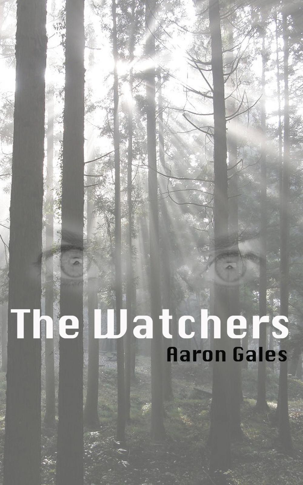 Big bigCover of The Watchers