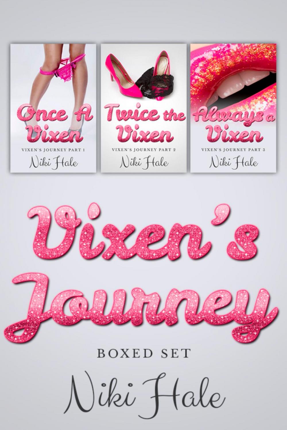 Big bigCover of Vixen's Journey Boxed Set