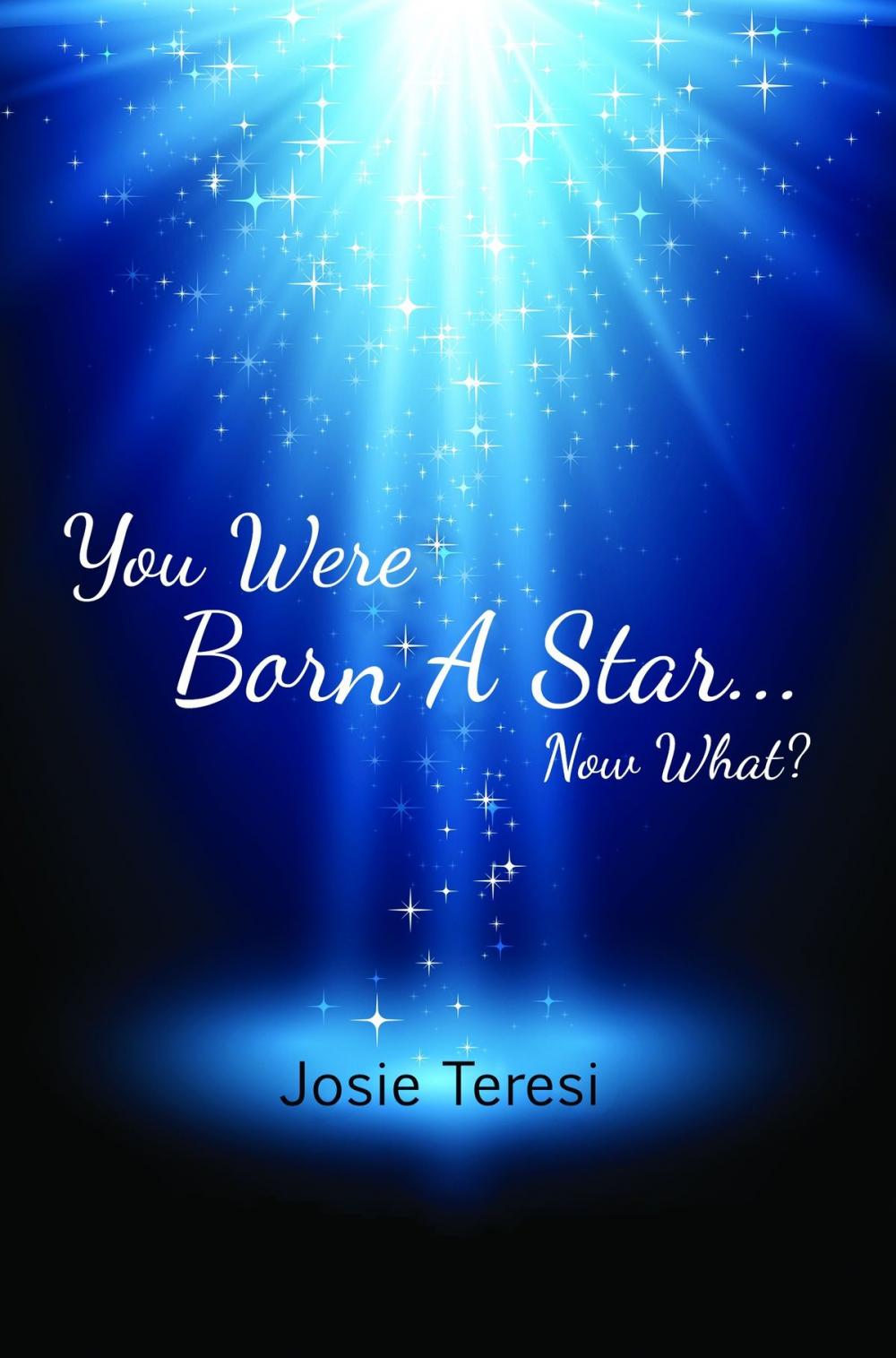 Big bigCover of You Were Born a Star: Now What?