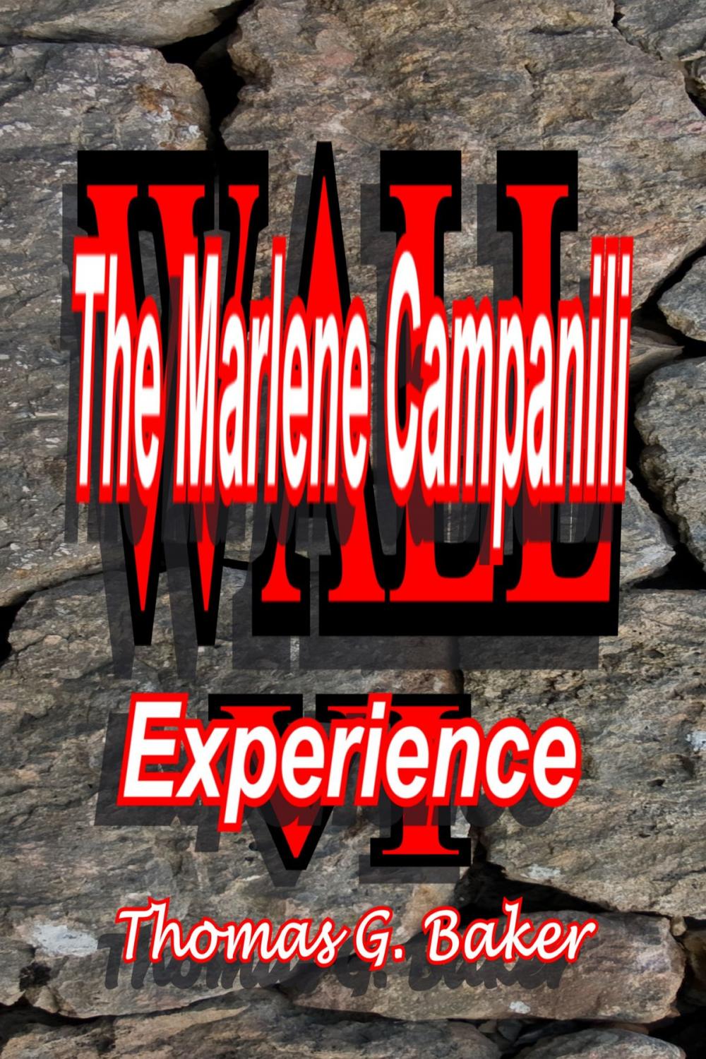 Big bigCover of Wall VI The Marlene Campanili Experience