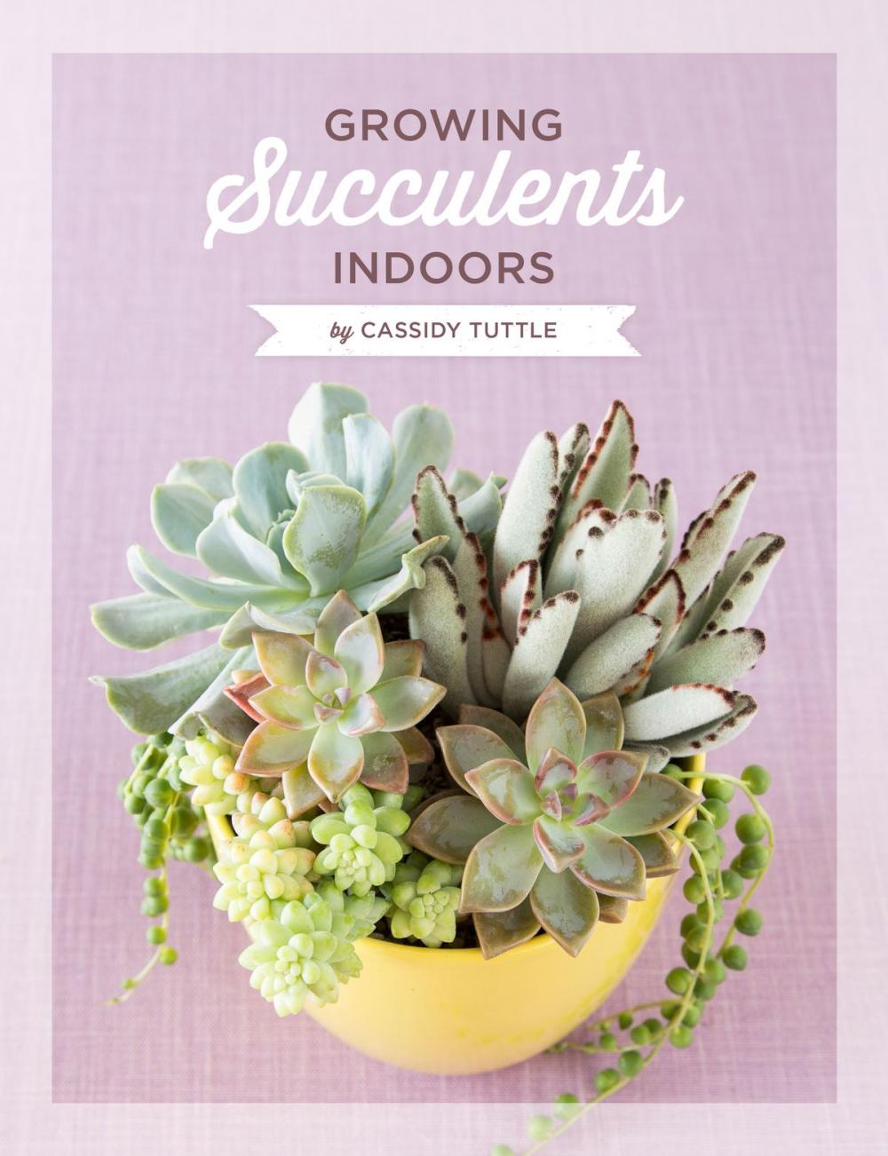 Big bigCover of Growing Succulents Indoors