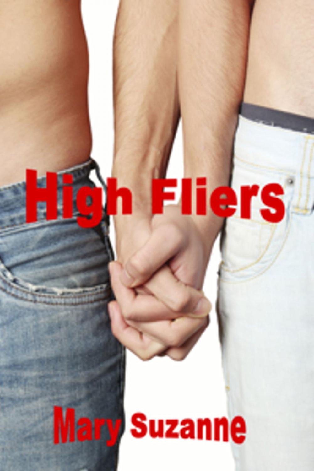 Big bigCover of High Fliers