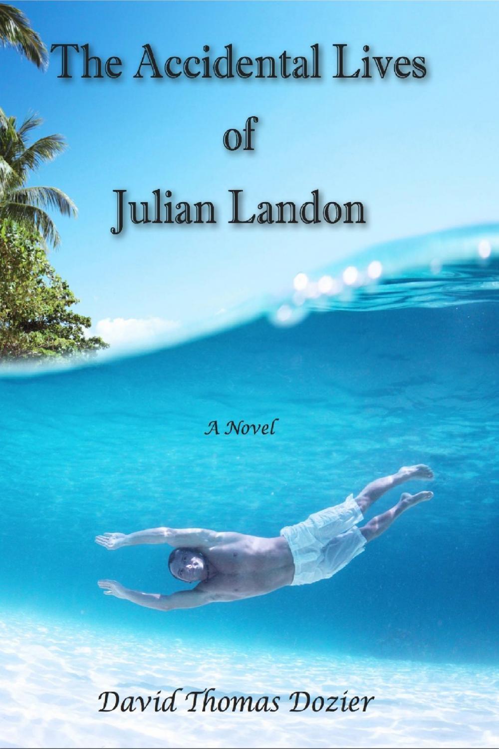 Big bigCover of The Accidental Lives of Julian Landon